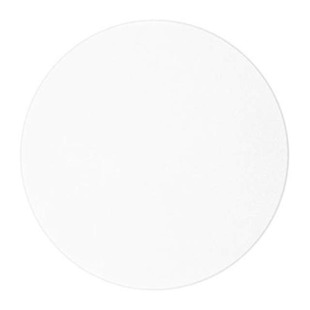 .3MIC 3M261X DISC 8