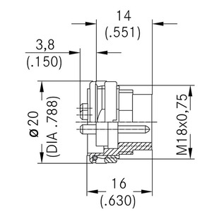 C091 31T012 100 2 Image