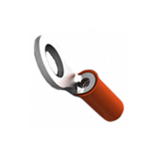 321898 Image