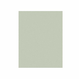 1MIC 3M262X TF SHEET 8.5X11