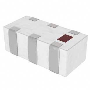 2450LP14A100T Image