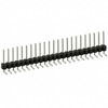 PEC23SGAN